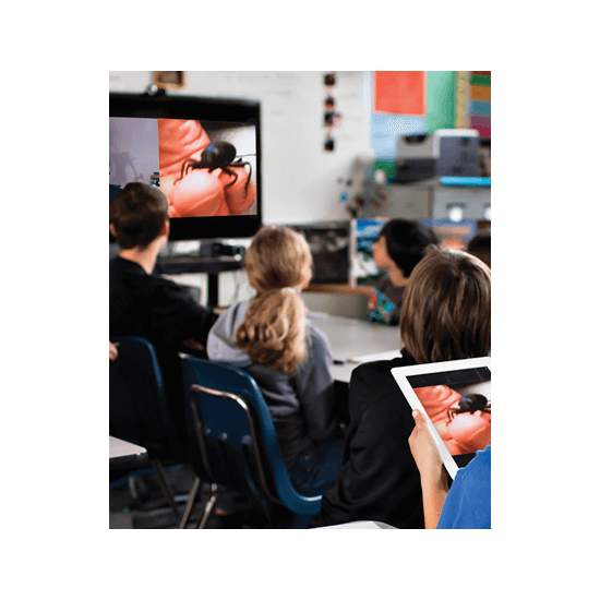 Курсы повышения квалификации для учителей, педагогов: Технические и аудиовизуальные средства обучения - дистанционное обучение, заочно, выдача удостоверений
